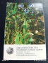 Старо календарче 82г. ЦВЕТЯ рядко за КОЛЕКЦИЯ ДЕКОРАЦИЯ 35327, снимка 1