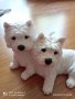  Статуетки West Highland Terrier Колекционерски Статуетки , снимка 2