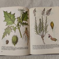 Атлас на лечебните растения в България , снимка 4 - Енциклопедии, справочници - 43828187