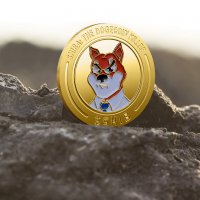 Шиба Ину монета / Shiba Inu: The Dogecoin Killer coin ( SHIB ) - Gold, снимка 5 - Нумизматика и бонистика - 38846618