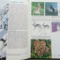Тайните на животните - В Планините/В Саваните - 1992г. , снимка 3 - Енциклопедии, справочници - 43906964