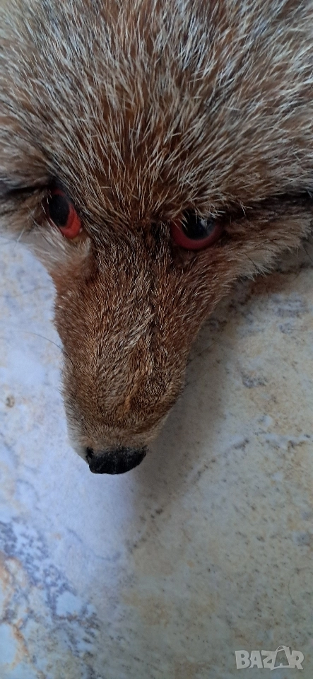 Кожа шал от лисица , снимка 1