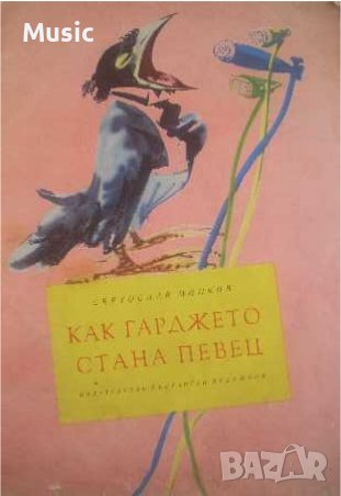 Как гарджето стана певец, снимка 1