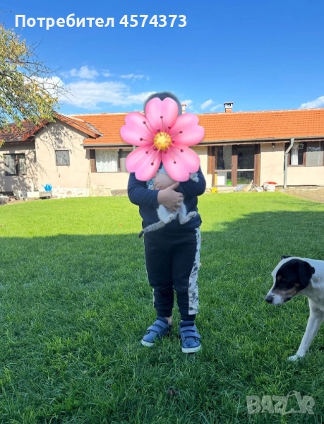 Къща в с. Драгойново , снимка 1