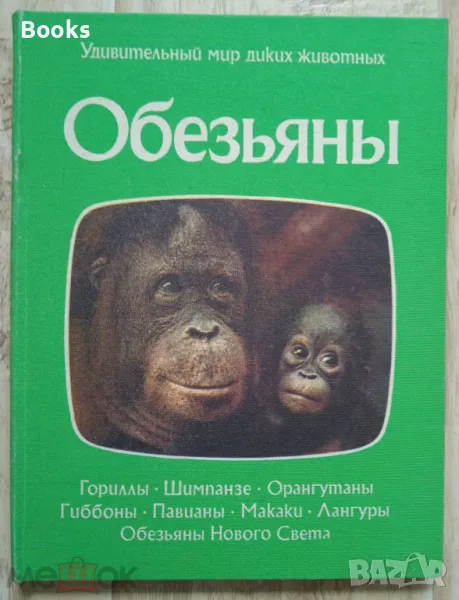 Обезьяны - Удивительный мир диких животных, снимка 1