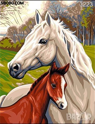 Диамантен гоблен Коне, снимка 1