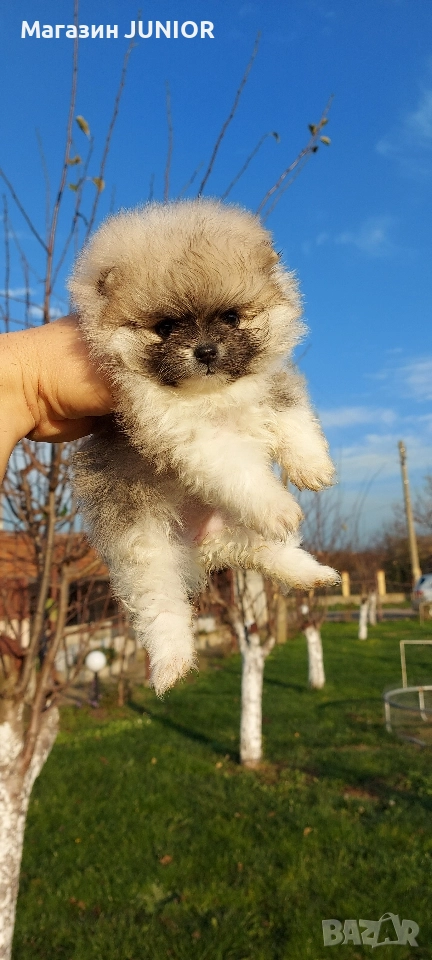 мини момиче, снимка 1