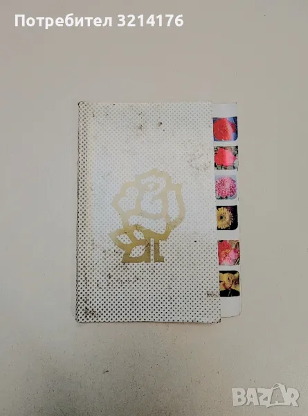 Булгарцвет – Колектив, снимка 1