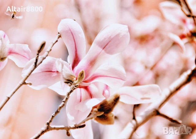 Sigma 18-200mm f/3.5-6.3 DC OS EF-S обектив Канон, снимка 5 - Обективи и филтри - 51762437