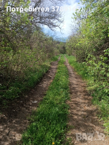 Урегулиран поземлен имот в с.Кондофрей , снимка 4 - Парцели - 52952699