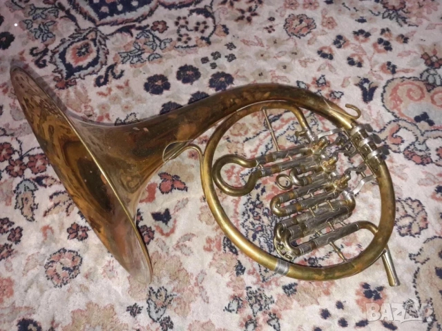 Валдхорна Антон Пини