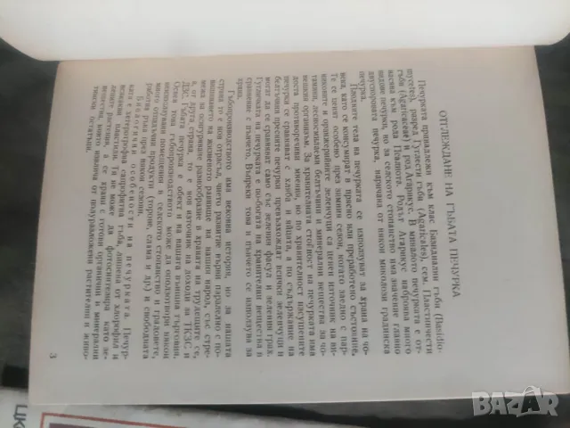 Продавм Книга  " Просветното дело " в Съветския съюз, снимка 2 - Други - 50051151