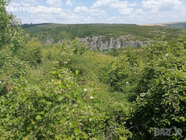 Продавам парцел в регулация в с. Кошов , снимка 2 - Парцели - 37338185