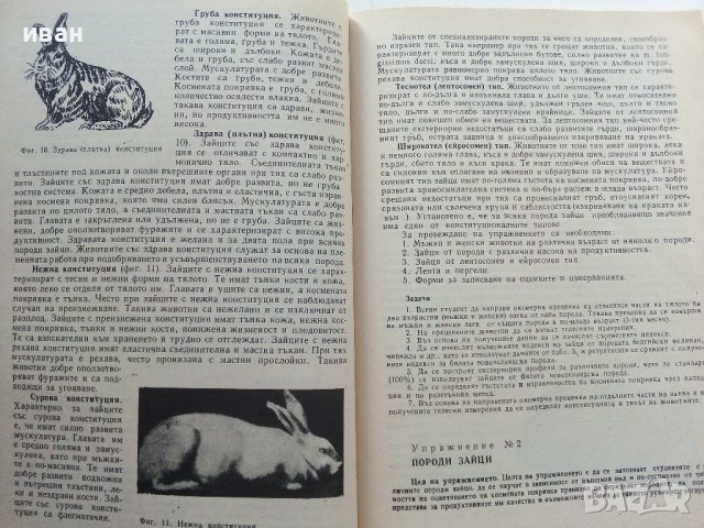 Ръководство за упражнения по зайцевъдство и дивечовъдство - Н.Дамянова,И.Григоров - 1990г., снимка 5 - Специализирана литература - 38347530
