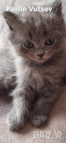 Момче и момиче