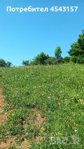 Парцел във Врачански Балкан , снимка 4 - Парцели - 51133586