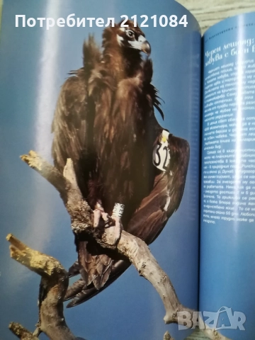 Комплект 7 броя списание 8 , снимка 6 - Списания и комикси - 51867417