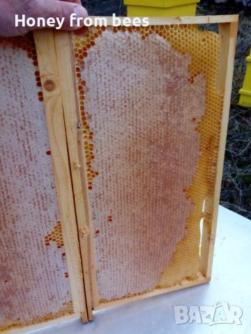 Пчелен мед от Пчели, снимка 7 - Пчелни продукти - 41579311