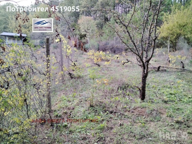 Продавам парцел в гр Варна , снимка 6 - Други услуги - 51495501