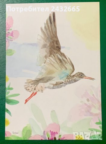 1884к. Нидерландия 2023 = “ Фауна. Природен Резерват “ Skrok and Skrins “ , снимка 3 - Филателия - 43126729