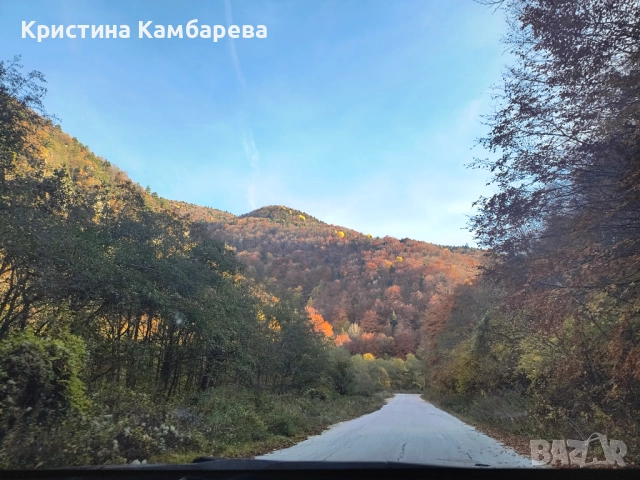 Апартамент в Рила планина, снимка 8 - Апартаменти - 52287396