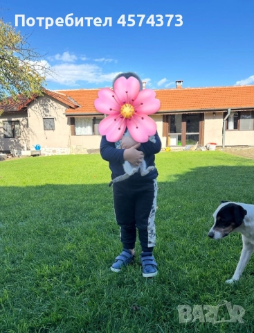 Къща в с. Драгойново , снимка 1