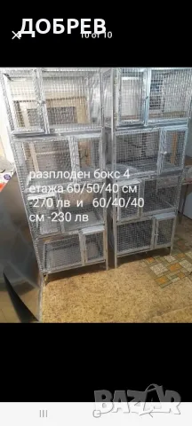 клетки за зайци,кокошки,пилета,гълъби,пъдпъдъци,папагали и др., снимка 5 - За селскостопански - 47546237