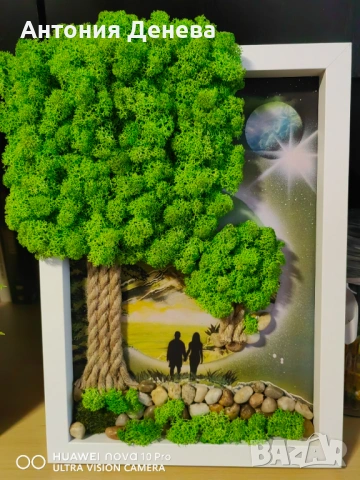 Пана със скандинавски мъх 