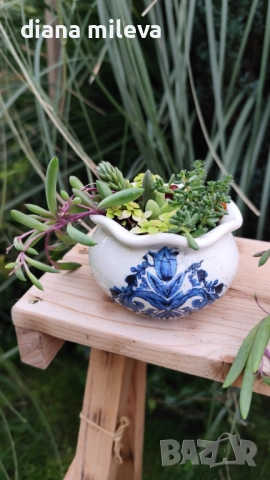 Гърнета аранжирани със сукуленти!, снимка 14 - Декорация за дома - 52496408
