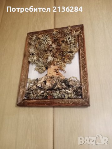 Картини-пана, снимка 2 - Картини - 39437991