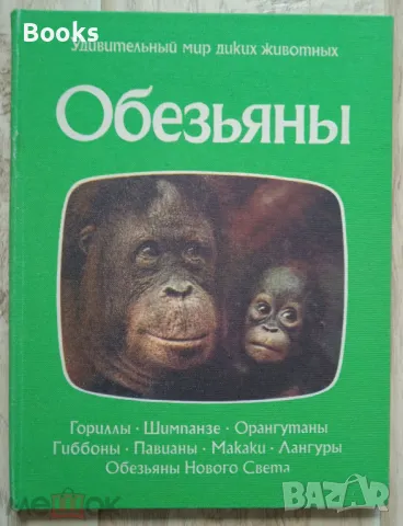 Обезьяны - Удивительный мир диких животных