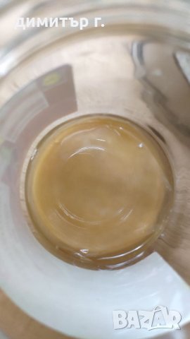 Чаена гъба комбуча