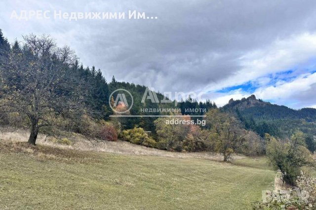 Парцел за застрояване в град Смолян , снимка 2 - Парцели - 43113141