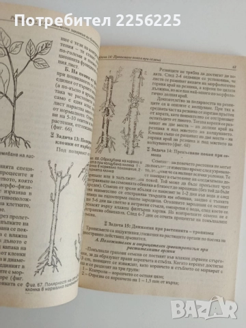 Ръководство за практически занятия по ботаника с екология, снимка 4 - Специализирана литература - 52170323