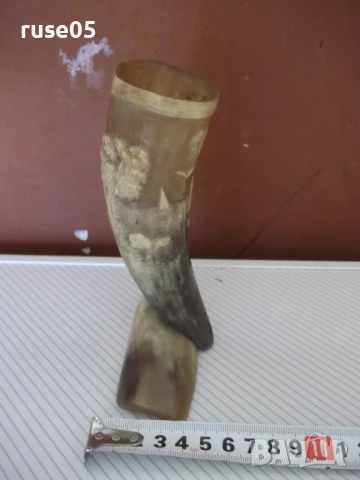 Поставка от биволски рог, снимка 3 - Колекции - 51359013