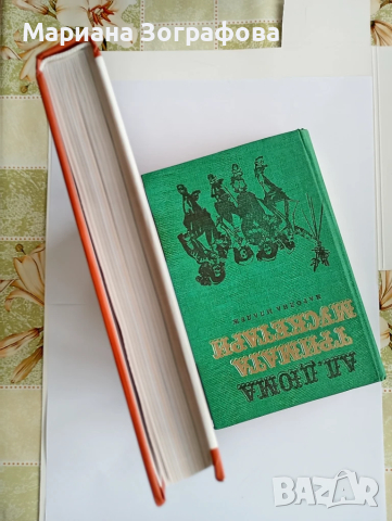 Книги 9 бр., - Лечебните гъби в България, - за билките 2 бр., БГ изкушения, - за юноши и др., снимка 4 - Специализирана литература - 51407194