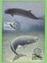 Фарьорски острови 1990 - 4 броя Карти Максимум - WWF, снимка 1