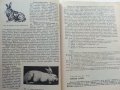 Ръководство за упражнения по зайцевъдство и дивечовъдство - Н.Дамянова,И.Григоров - 1990г., снимка 5