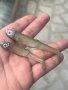 Силиконови примамки Blood Minnow, снимка 3