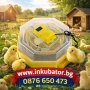 ИНКУБАТОРИ Клео - официален вносител за България, снимка 1