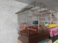 клетка/кафез за птици, снимка 4