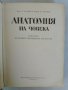 Анатомия на човека, снимка 11
