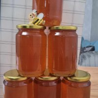 Натурален пчелен мед , снимка 4 - Пчелни продукти - 44004929