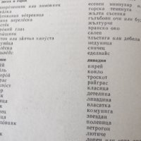 Тематичен руско-български речник, снимка 6 - Чуждоезиково обучение, речници - 32019509