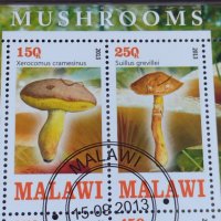 Пощенски марки чиста комплектна серия ГЪБИ 2013г. поща Малави за колекция 29802, снимка 4 - Филателия - 37689347