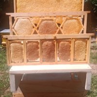 Пчелен мед,пити с мед   - реколта 2023, снимка 11 - Пчелни продукти - 18858767