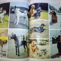 "Енциклопедия на кучето"-Германия, снимка 8 - Специализирана литература - 33458448