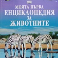 Детски енциклопедии, снимка 6 - Енциклопедии, справочници - 32212976