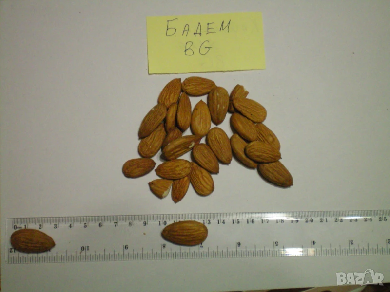 Продавам Български Бадеми, Орехи, Лешници и Кайсиеви ядки /начупени/, снимка 1