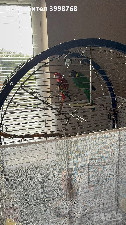 Розела, снимка 1